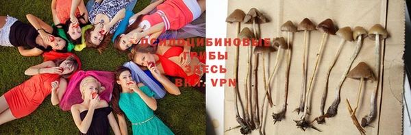 трава Алексеевка