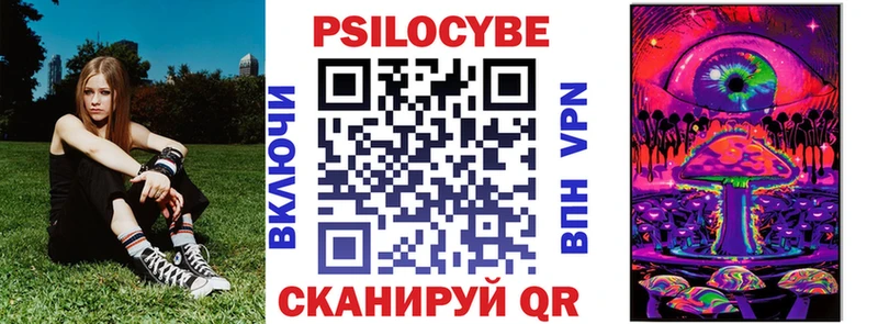 Галлюциногенные грибы Psilocybine cubensis  kraken   Андреаполь  закладка 